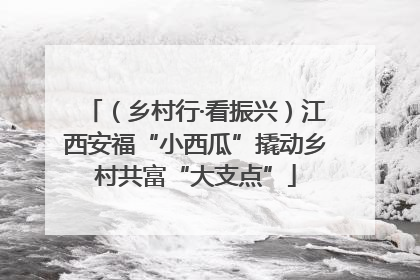 （乡村行·看振兴）江西安福“小西瓜”撬动乡村共富“大支点”